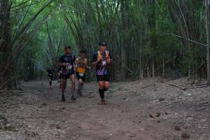 BIB: 23587
                            <button type="button" onclick="openModal(4101919)" class="btn btn-primary btn-sm float-right btn-popup" data-toggle="modal" data-target=".modal-high-quality">
                        <i class="fas fa-shopping-cart"></i> Add to Cart
                    </button>
                                            <button type="button" onclick="isThisMe(4101919, true)" class="btn btn-success btn-sm float-right btn-popup btn-isme hidden" data-toggle="tooltip" data-placement="bottom" title="นี่คือรูปของคุณใช่ไหม คลิกที่นี่เพื่อเอาเข้าอัลบั้ม">
                        <i class="fas fa-plus"></i> Add to album
                    </button>
                    <button type="button" onclick="isThisMe(4101919, false)" class="btn btn-warning btn-sm float-right btn-popup btn-isnotme hidden">
                        <i class="fas fa-ban"></i> Remove from album
                    </button>